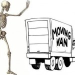 SkeltonMoving