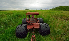 Swamp Farming